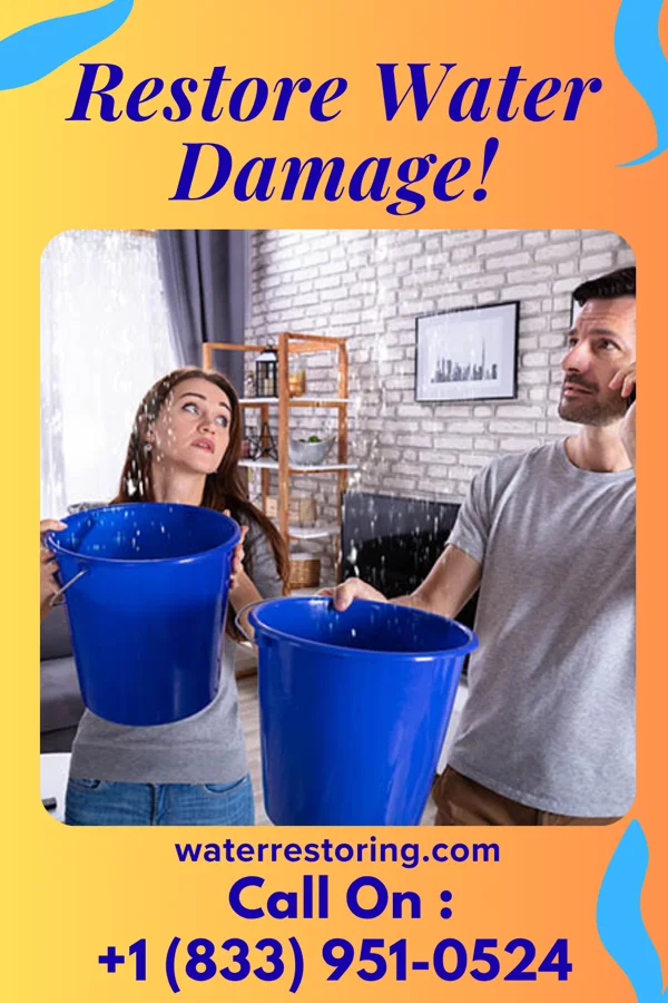 water restoration Elite Drying Co Simpson
