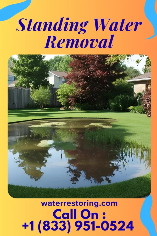 Standing Water Removal in Simpson, KS
